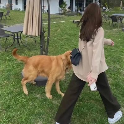 如果还有明天