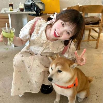 猫头鹰之森